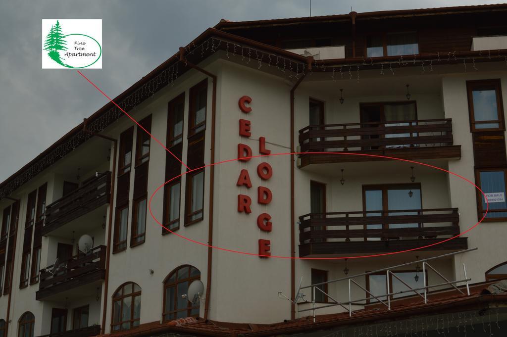 Pine Tree Apartment D34 Bansko Exterior foto